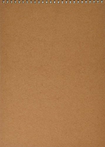 Strathmore 300 Серија Акварел Хартија 9. x 12 во. подлога на 12 жица bound [ПАКЕТ НА 2 ],бела